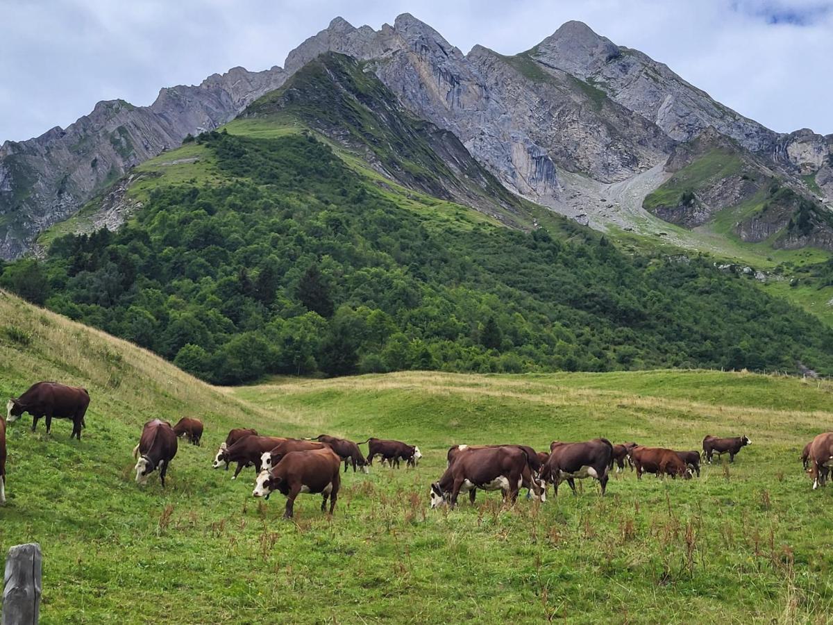 La Petite Anfiane Villa Le Grand-Bornand Kültér fotó